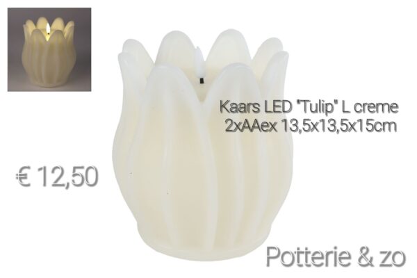 Tulpen ledkaars wit - Afbeelding 6