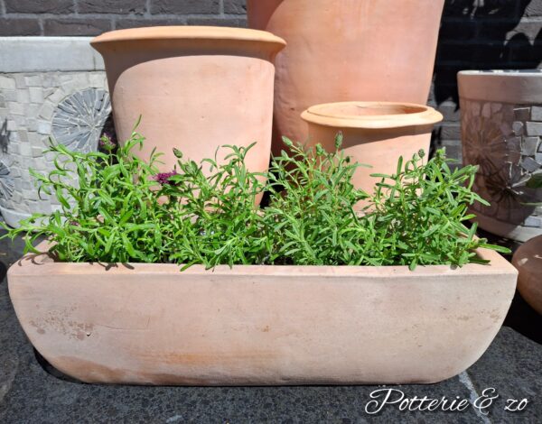 Terracotta plantenbakken - Afbeelding 2