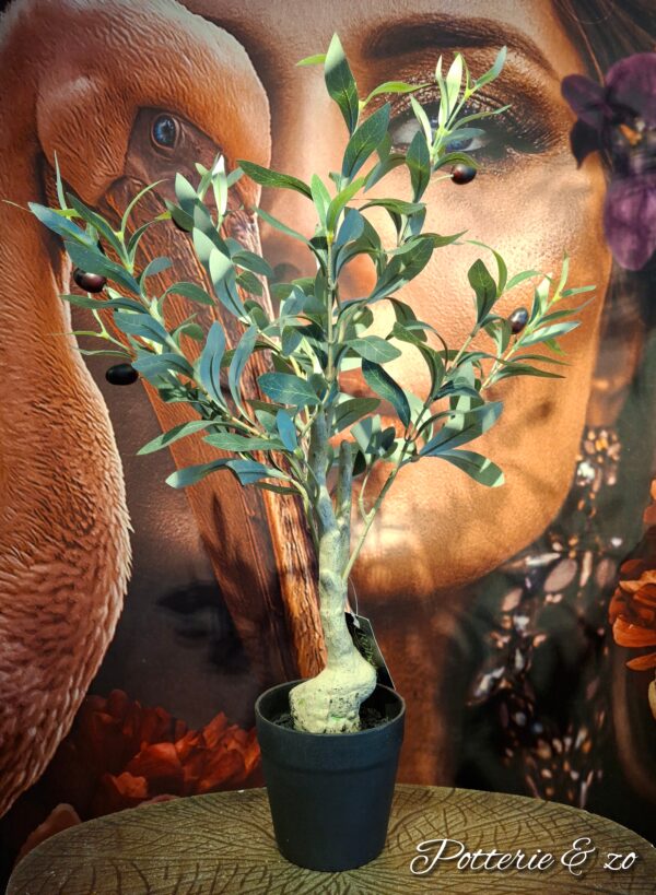 Olijf bonsai kunstboompje 50 cm