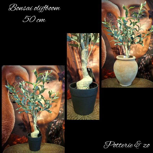 Olijf bonsai kunstboompje 50 cm - Afbeelding 4