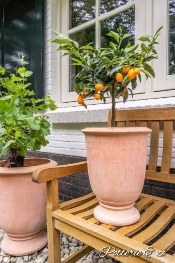 3 delige terracotta vazen set - Afbeelding 5