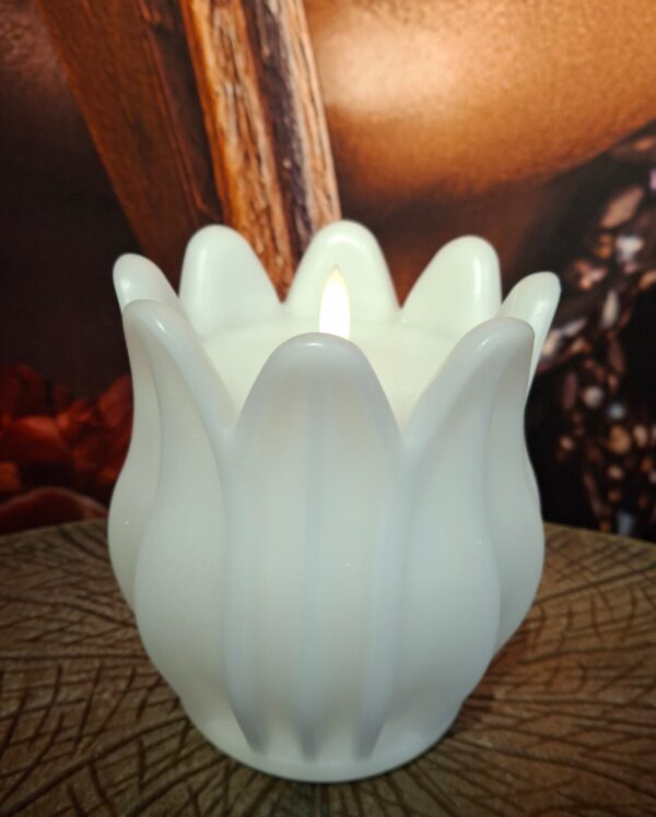 Tulpen ledkaars wit