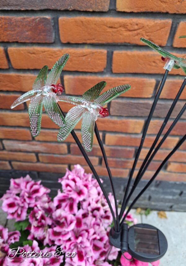 Solar tuinsteker libelle