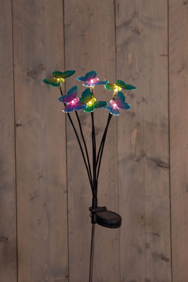 Solar met vlinders - Afbeelding 2