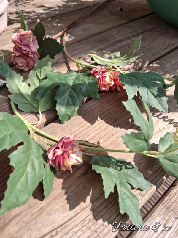 Hop Roze 85 cm