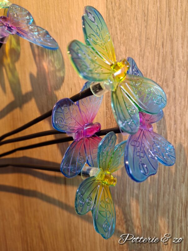 Solar met vlinders