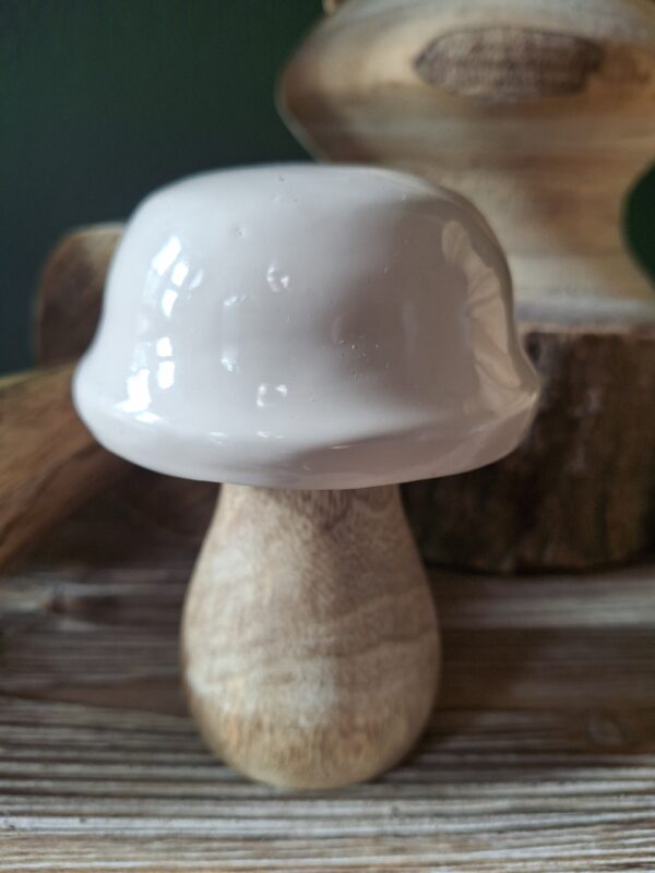 Paddenstoel mango hout "beige "