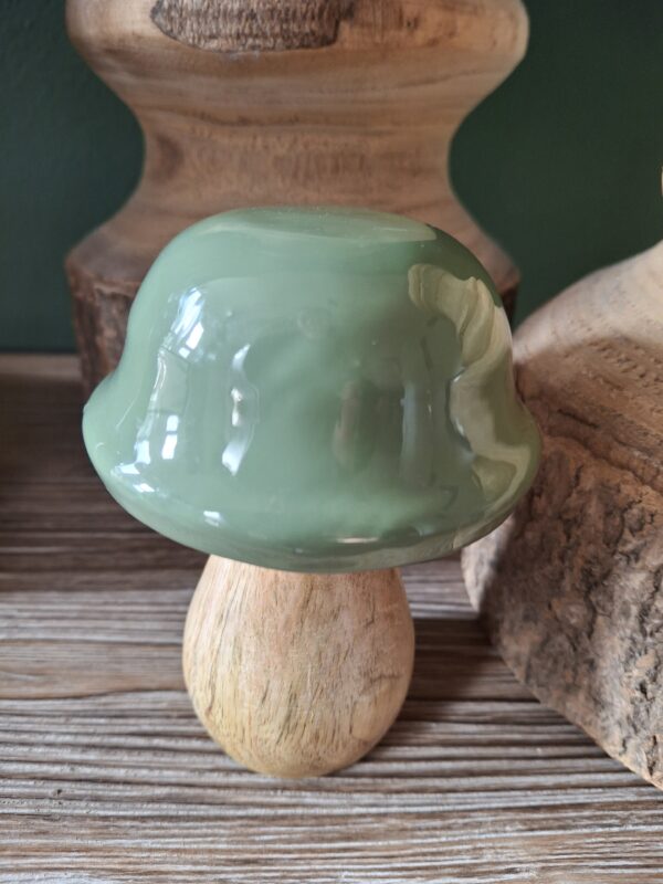 Paddenstoelen mangohout " groen "