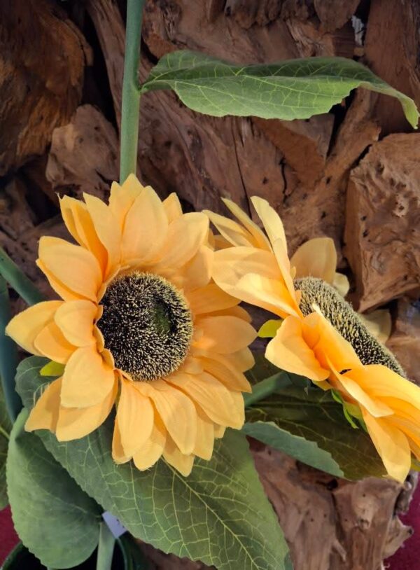 Zonnebloemen 130 cm - Afbeelding 2
