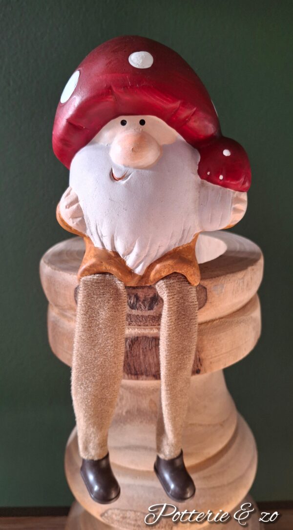 Mr. Mushroom met bungelbeentjes