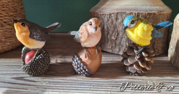 3 delig setje vogeltjes op noot