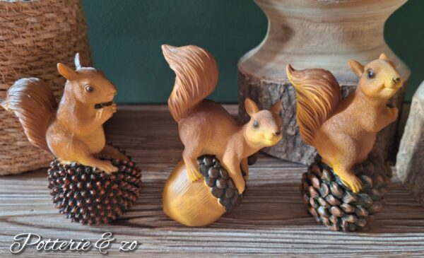 3 delige set eekhoorntjes