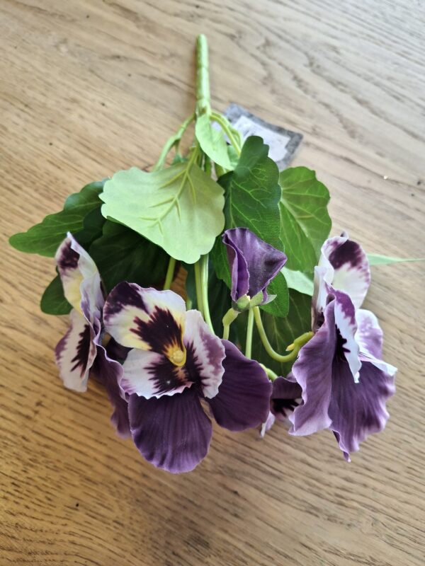 Viooltjes paars - Afbeelding 2