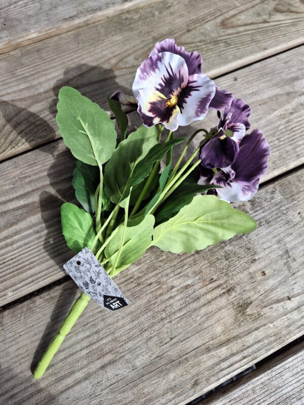 Viooltjes paars - Afbeelding 4