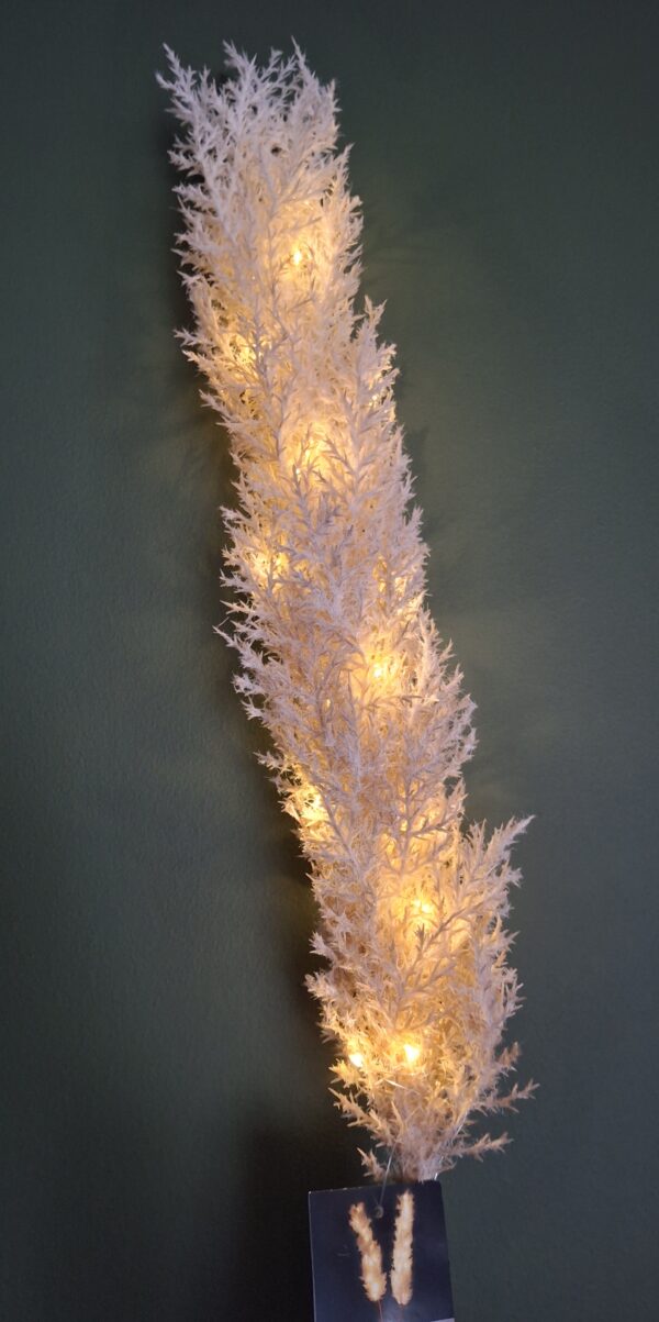 Led pluimen beige / off white - Afbeelding 2